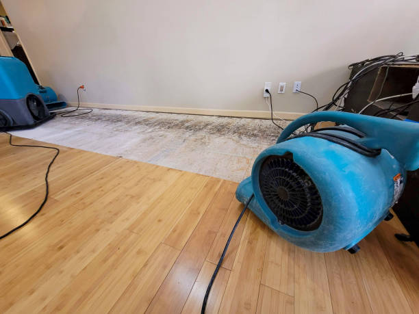 Professional Ceiling Water Damage Repair technician working in Lamona, WA