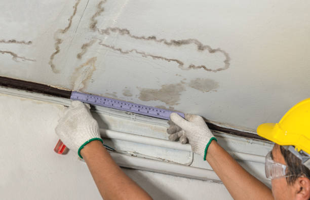 Affordable Ceiling Water Damage Repair solutions in Lamona, WA
